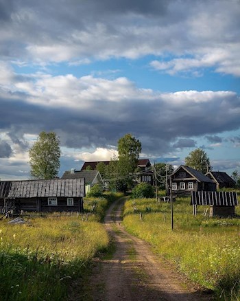 Обложка книги Зараза