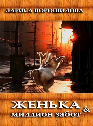 Обложка книги Женька и миллион забот