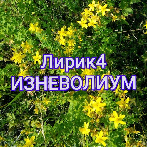 Обложка книги Лирик4. Изневолиум