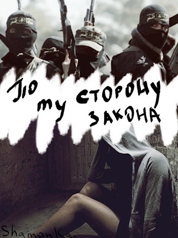 Обложка книги По ту сторону закона