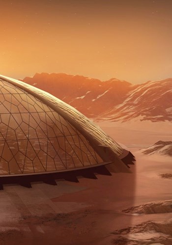 Обложка книги Последний рыцарь королевы