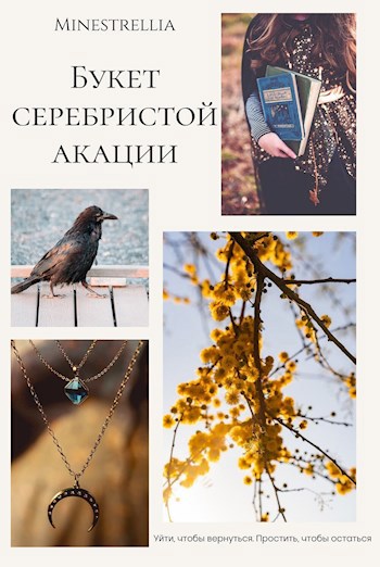 Обложка книги Букет серебристой акации