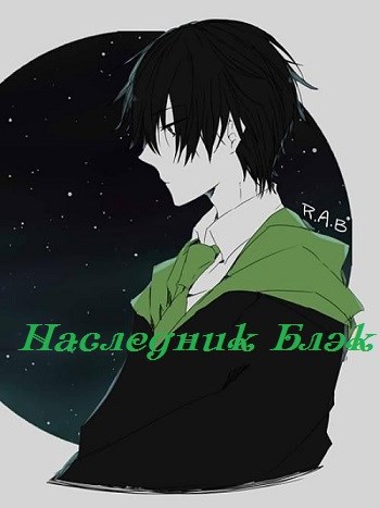 Обложка книги Наследник Блэк