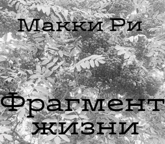 Обложка книги Фрагмент жизни