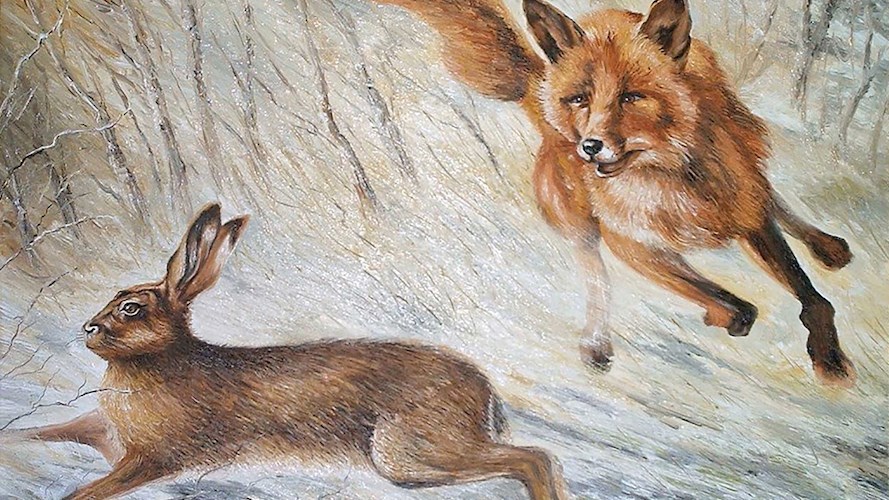 Обложка книги Шарик