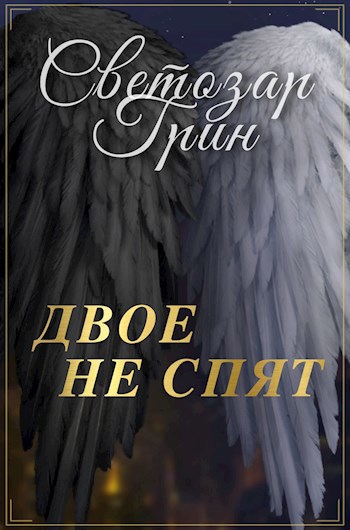 Обложка книги Двое не спят