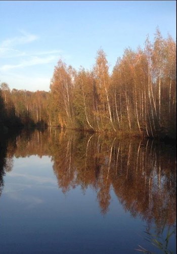 Обложка книги Стихи по поводу и просто под настроение