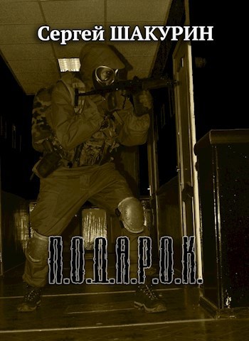 Обложка книги Подарок