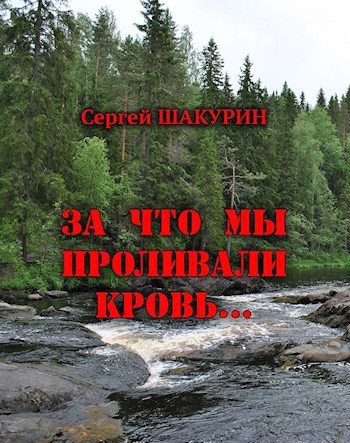 Обложка книги За что мы проливали кровь...