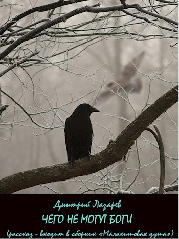 Обложка книги Чего не могут боги