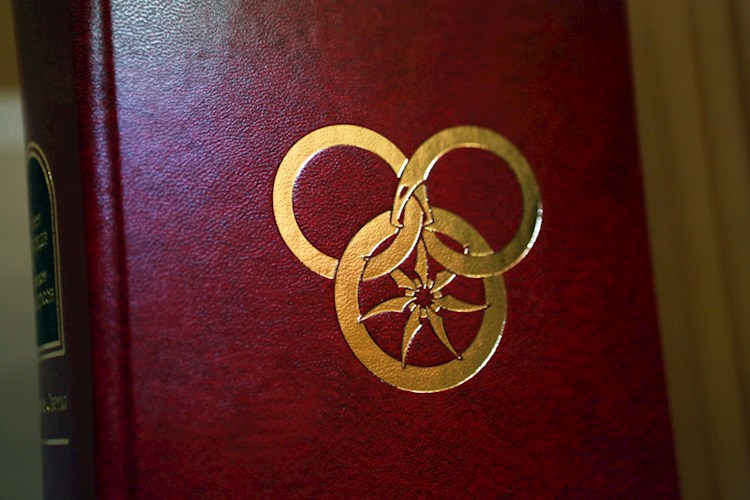 Обложка книги История одного футбольного матча