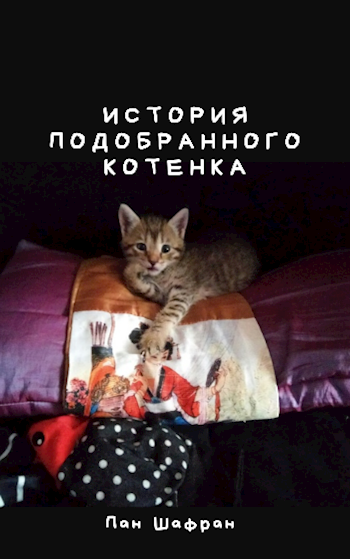 Обложка книги История подобранного котенка