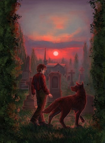 Обложка книги Волчонок