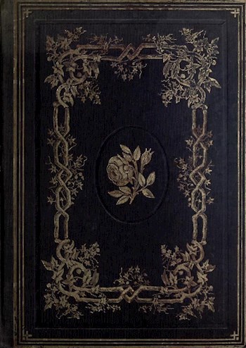 Обложка книги Что такое "человек"?