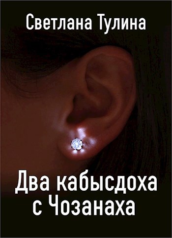 Обложка книги Два кабысдоха с Чозанаха