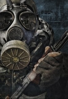Обложка книги Сталкер . Один день и одна ночь.