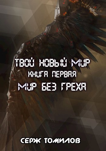 Обложка книги Мир без греха