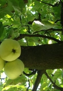 Обложка книги Самый Счастливый День
