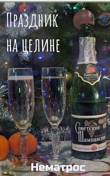 Обложка книги Праздник на целине
