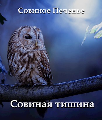 Обложка книги Совиная тишина