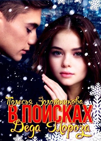 Обложка книги В поисках Деда Мороза