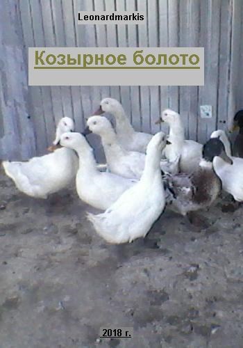 Обложка книги Козырное болото