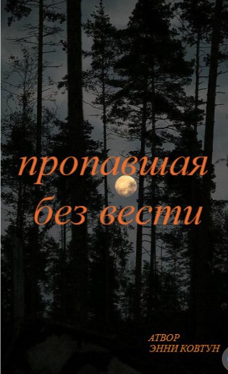 Обложка книги пропавшая без вести