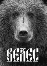 Обложка книги Велес