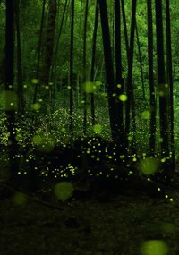 Обложка книги На пороге тридевятого царства