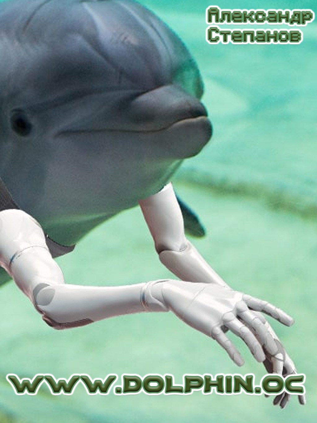 Обложка книги www.dolphin.oc