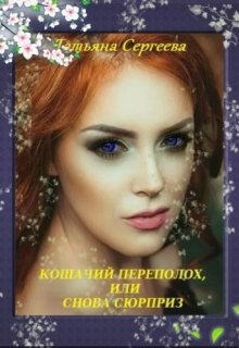 Обложка книги Кошачий переполох, или снова сюрприз
