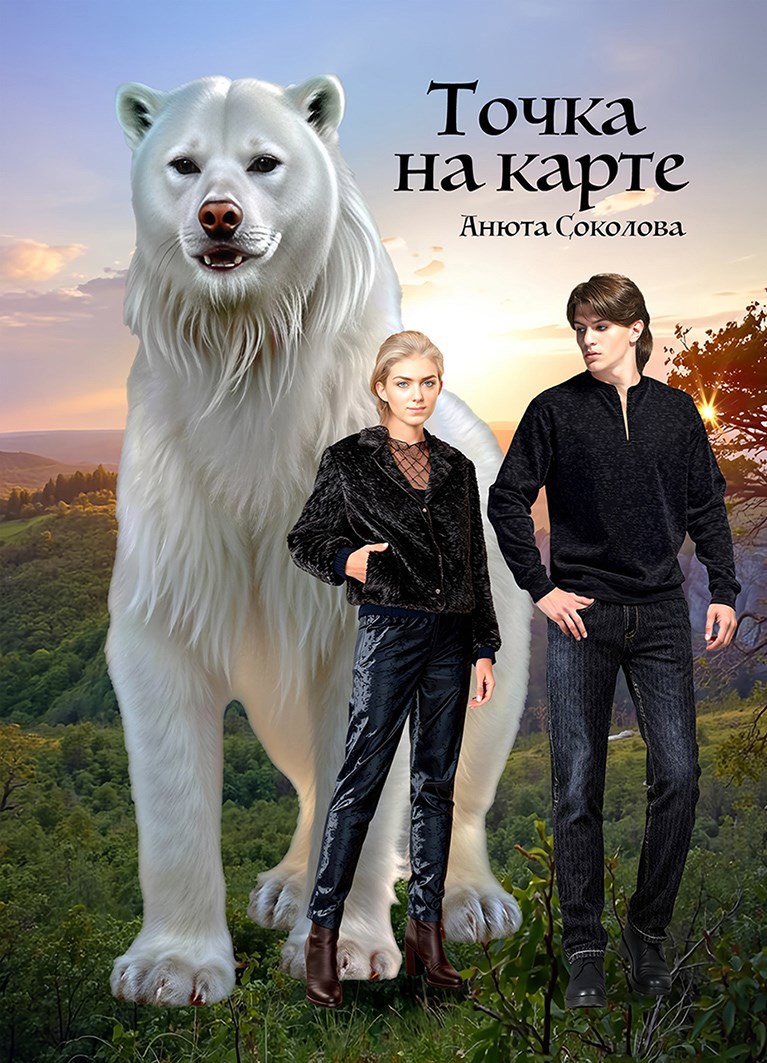 Обложка книги Точка на карте