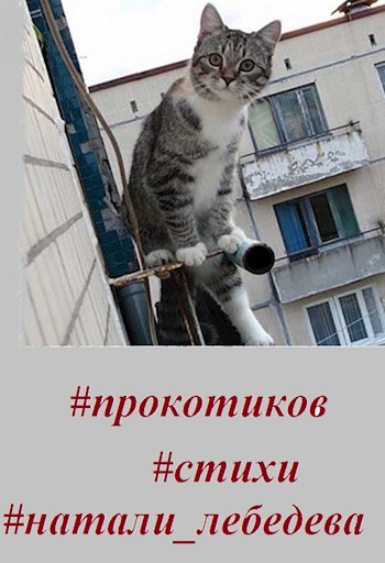 Обложка книги #прокотиков