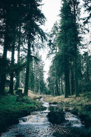 Обложка книги Новый мир