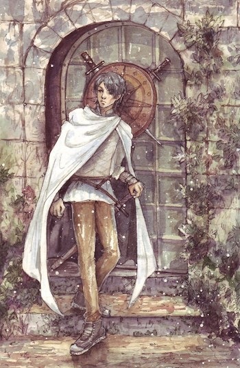 Обложка книги Последний квест / Лик чернокнижника!