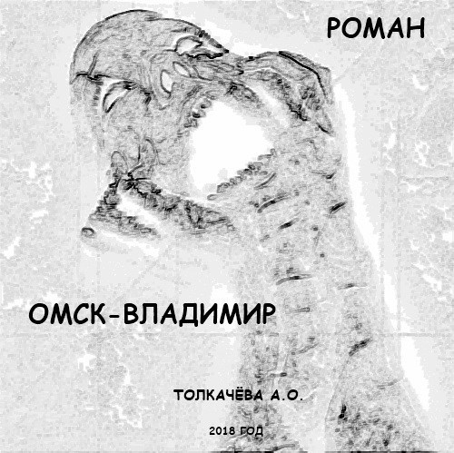 Обложка книги Омск-Владимир