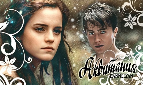 Обложка книги Аквитания