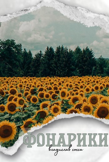 Обложка книги Фонарики