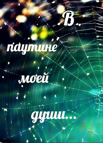 Обложка книги В паутине моей души