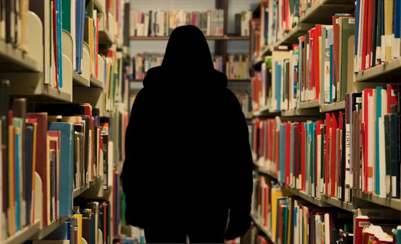 Обложка книги Библиотекарь