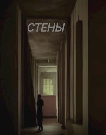 Обложка книги Стены