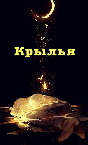 Обложка книги Крылья
