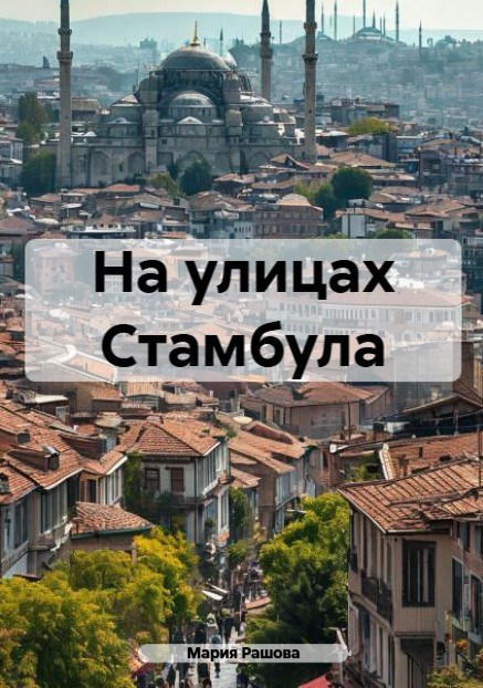 Обложка книги На улицах Стамбула
