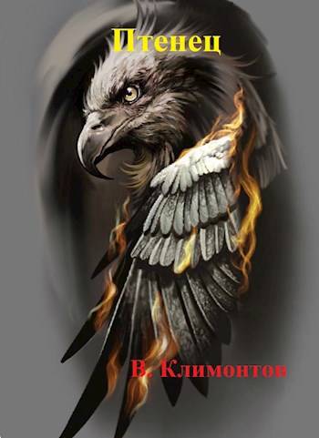 Обложка книги Птенец