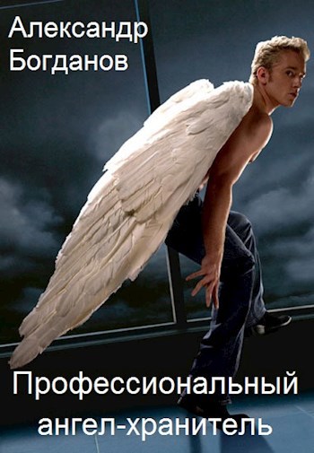 Обложка книги Профессиональный ангел-хранитель