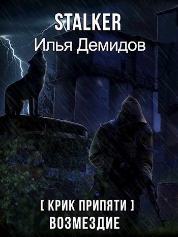 Обложка книги Возмездие