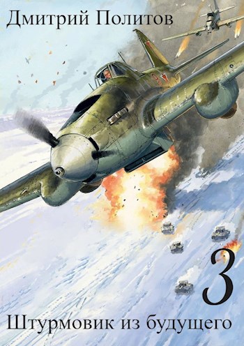 Обложка книги Штурмовик из будущего-3