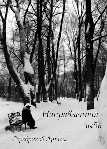 Обложка книги Направленная зыбь