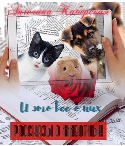 Обложка книги И это все о них