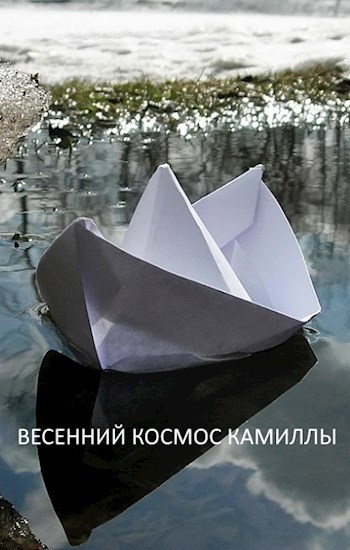 Обложка книги Весенний космос Камиллы